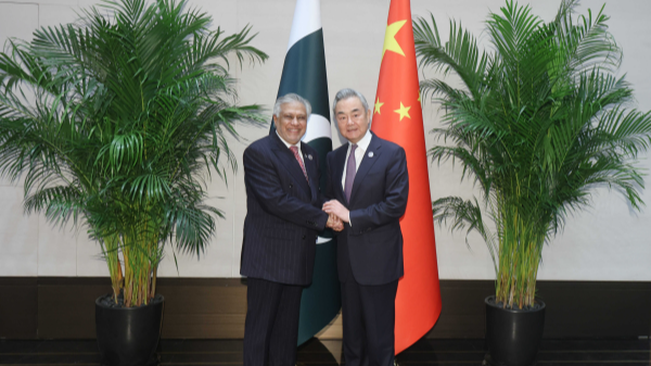 China's top diplomat meets Pakistani FM