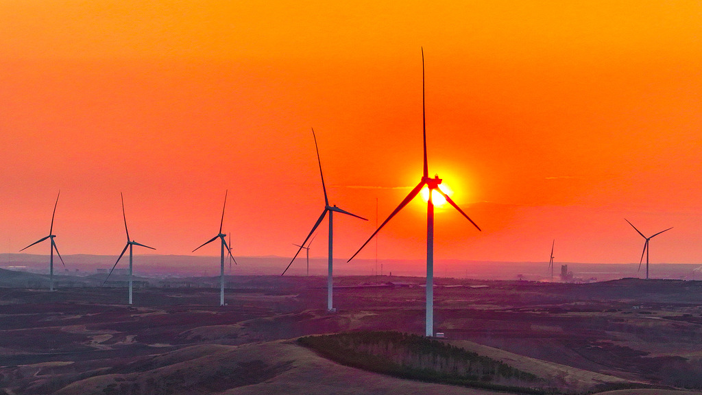 A view of a wind farm in Hulun Buir, north China's Inner Mongolia Autonomous Region, April 27, 2025. /VCG