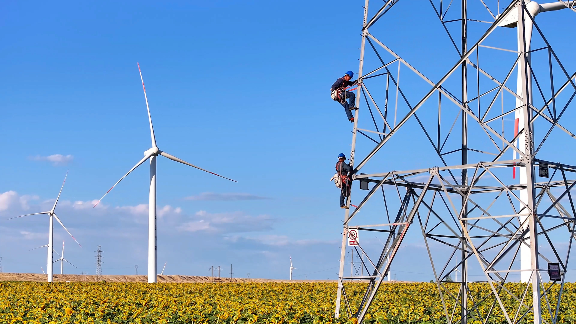Xinjiang's clean energy exceeds 60%, cementing green hub status