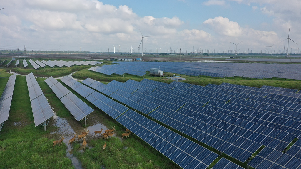 China's green reform reshapes its energy future, eases global pressure