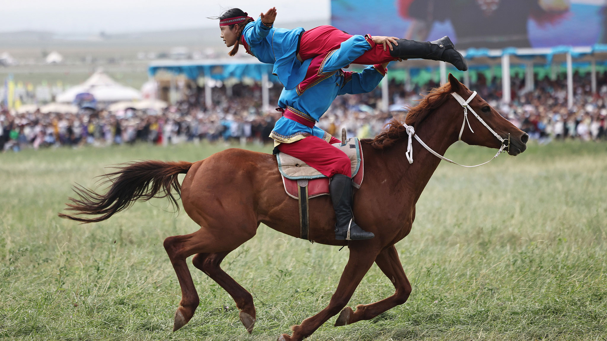 Live: Feel the pulse of Inner Mongolia's Naadam festival