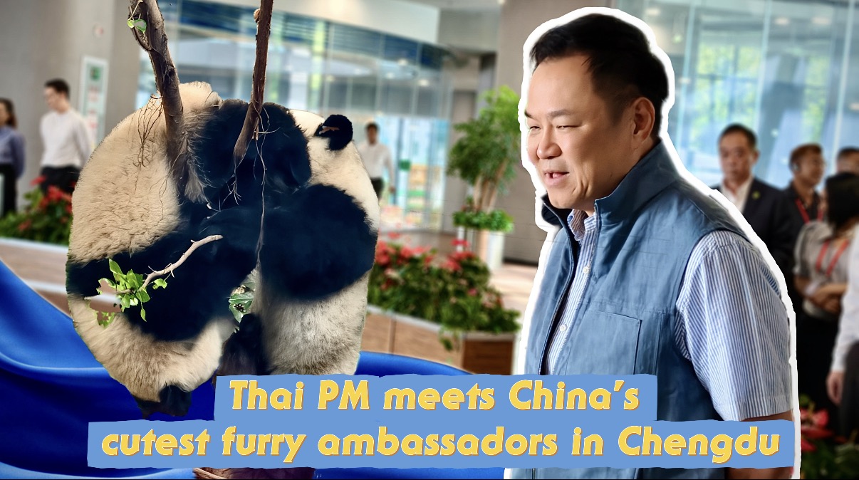 Thai PM meets China's cutest furry ambassadors in Chengdu