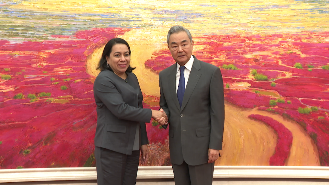 Wang Yi meets candidate for next UN secretary-general