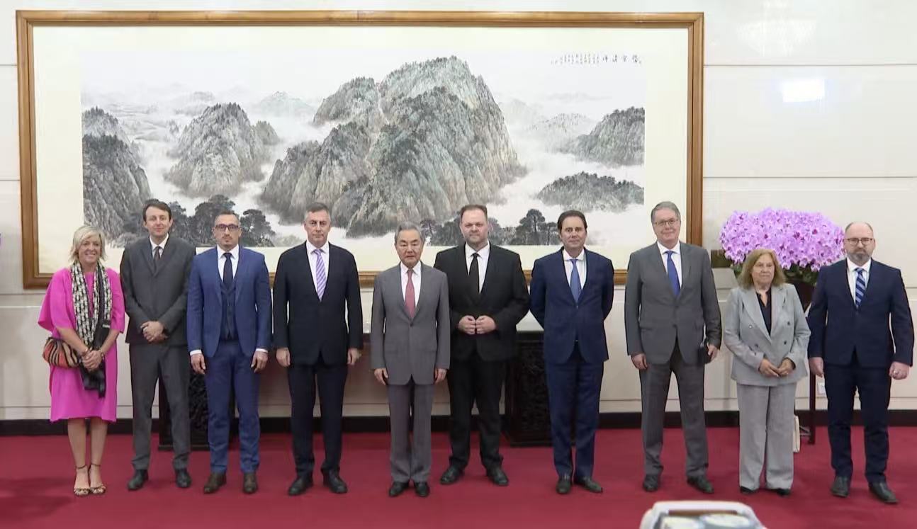 Chinese FM Wang Yi meets EU lawmakers, calls China and Europe partners
