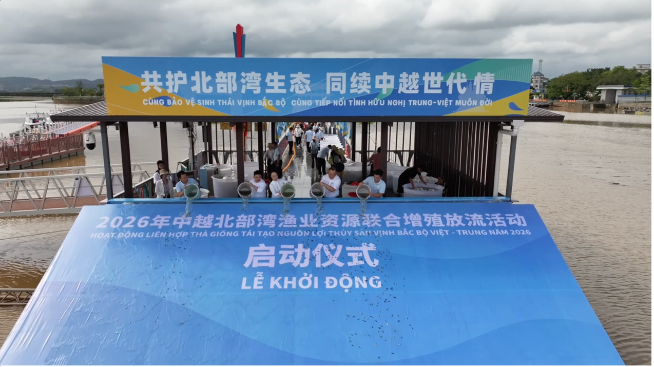 On May 19, 2026, China and Vietnam jointly released 270 million fish fry and broodstock into the Beibu Gulf to replenish marine fishery resources and advance sustainable fisheries development. /CGTN