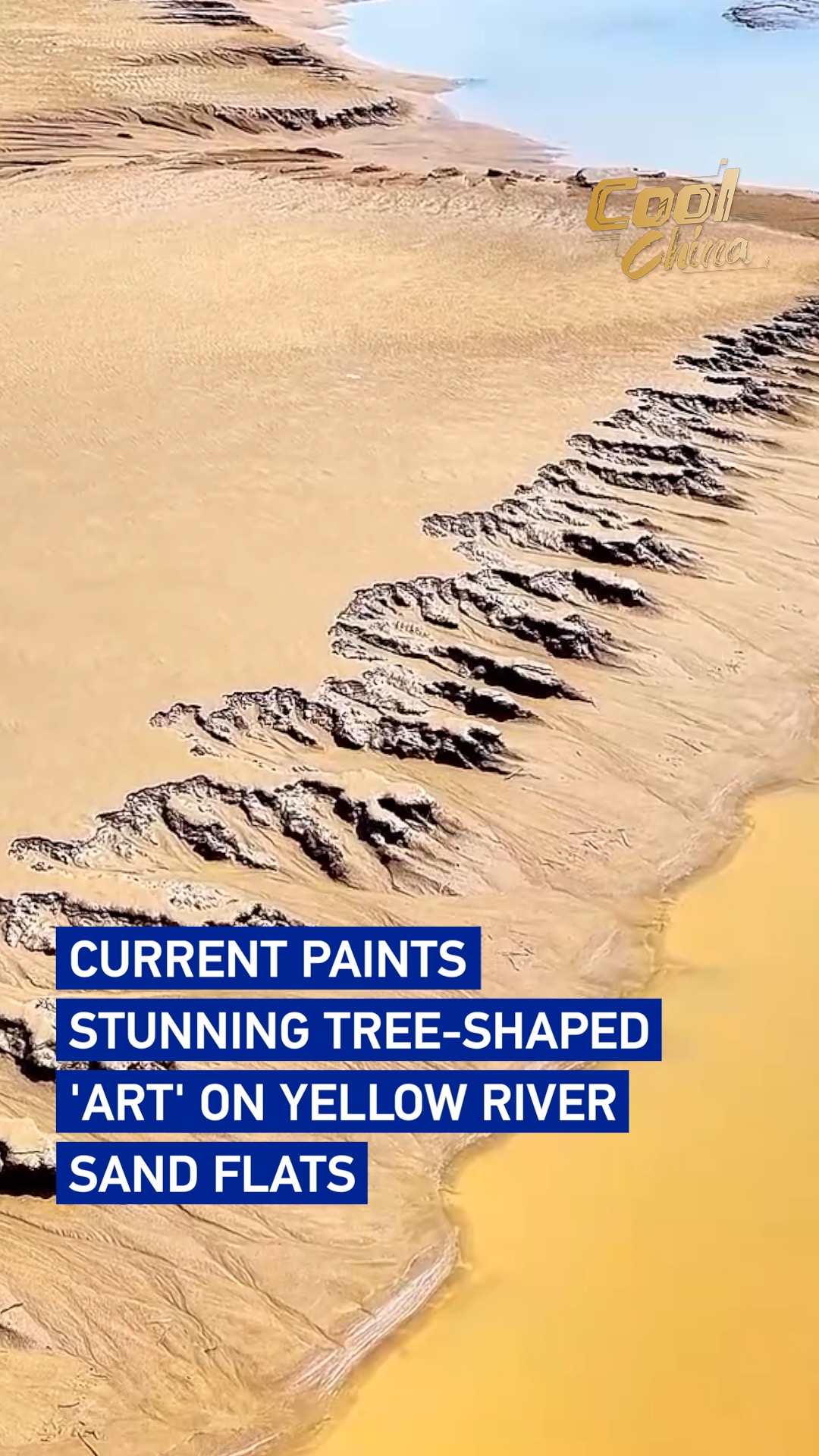 Current paints stunning tree-shaped 'art' on Yellow River sand flats