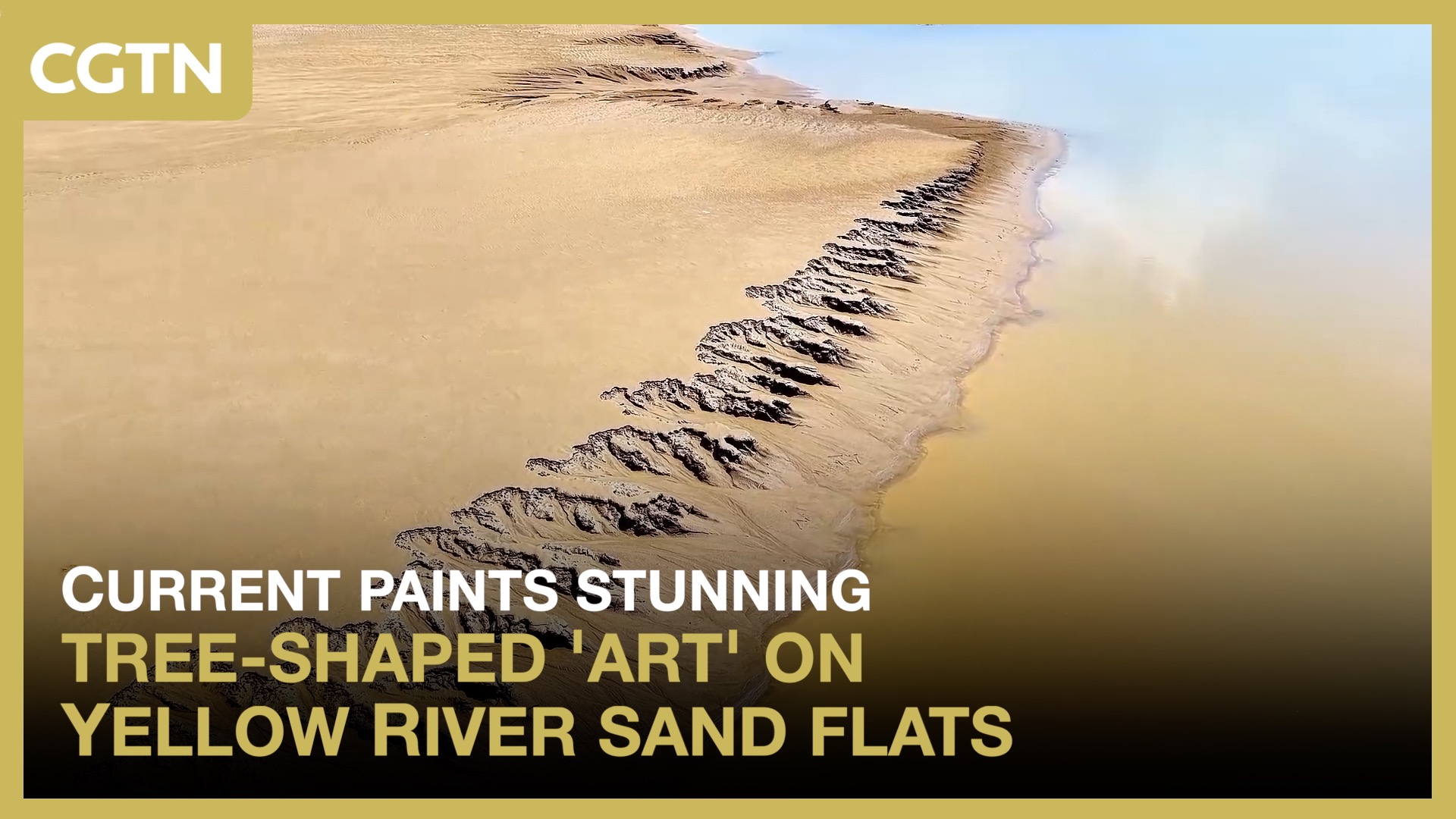 Current paints stunning tree-shaped 'art' on Yellow River sand flats