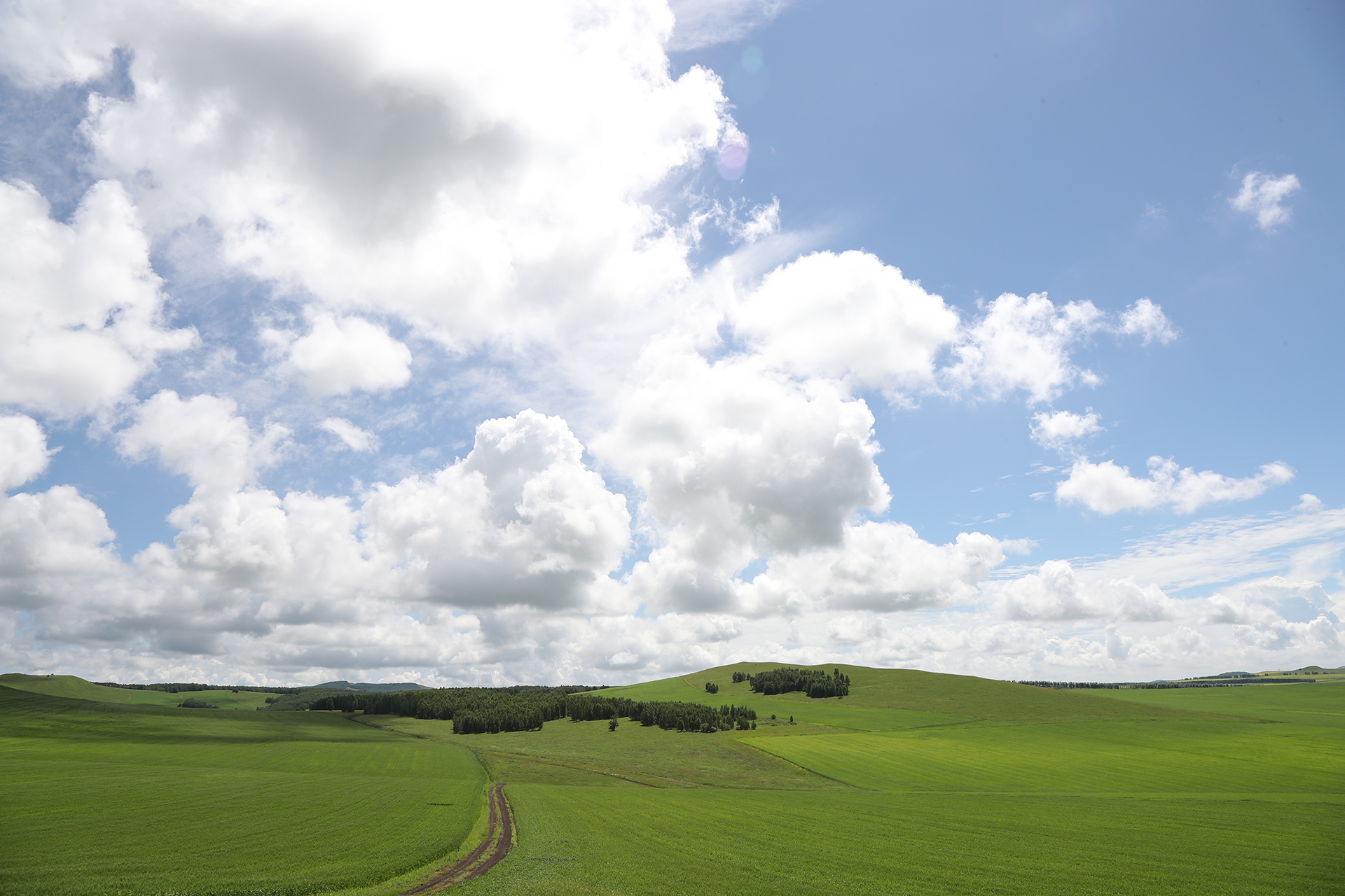 A view of the Hulunbuir Grasslands in Inner Mongolia. /CGTN