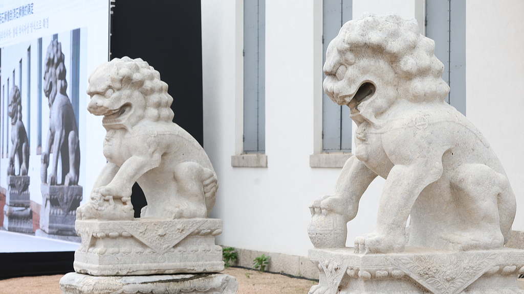 A pair of Qing Dynasty stone lions are displayed outside the Kansong Art Museum during a ceremony at which they are handed over to the Chinese side, in Seoul, the Republic of Korea (ROK) , July 23, 2026. /VCG