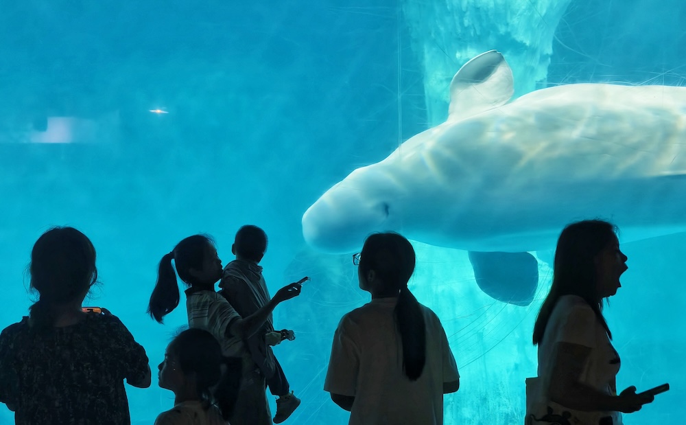 Visitors enjoy a break from the heat at Wuhan Polar Ocean Park in central China's Hubei Province on July 22, 2026./IC