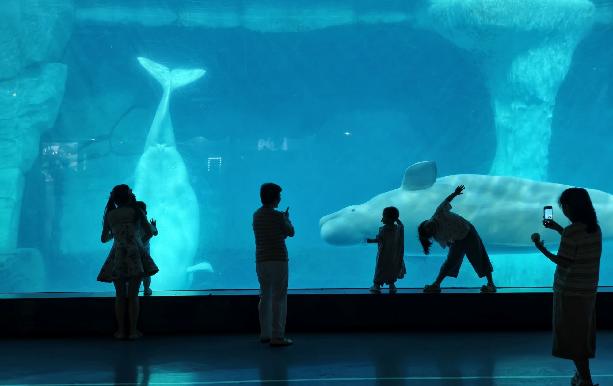 Visitors pose for photos at Wuhan Polar Ocean Park in central China's Hubei Province on July 22, 2026. /IC