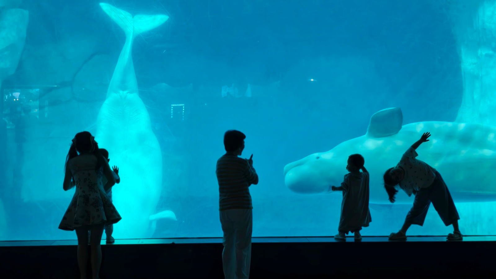 Beat the heat with a cool wildlife adventure in Wuhan