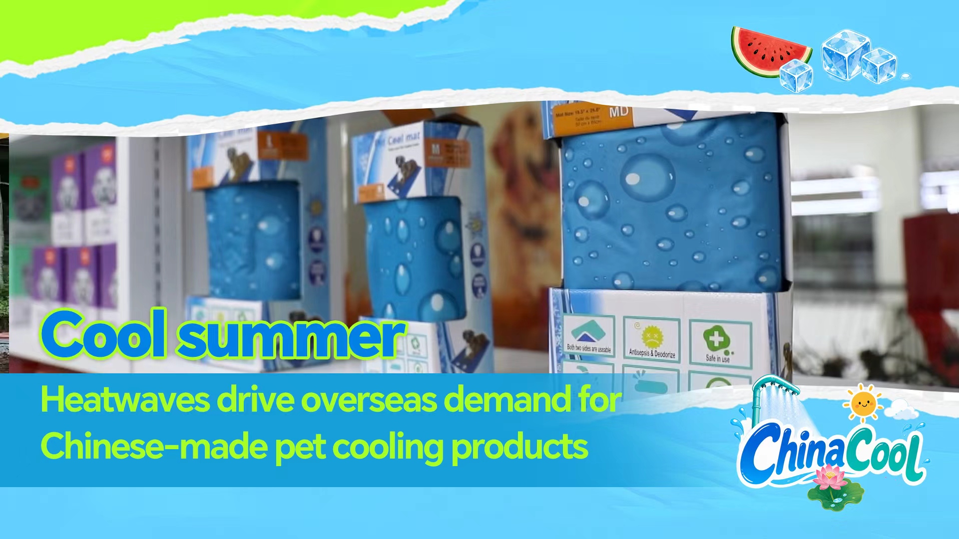 Heatwaves drive overseas demand for Chinese-made pet cooling products