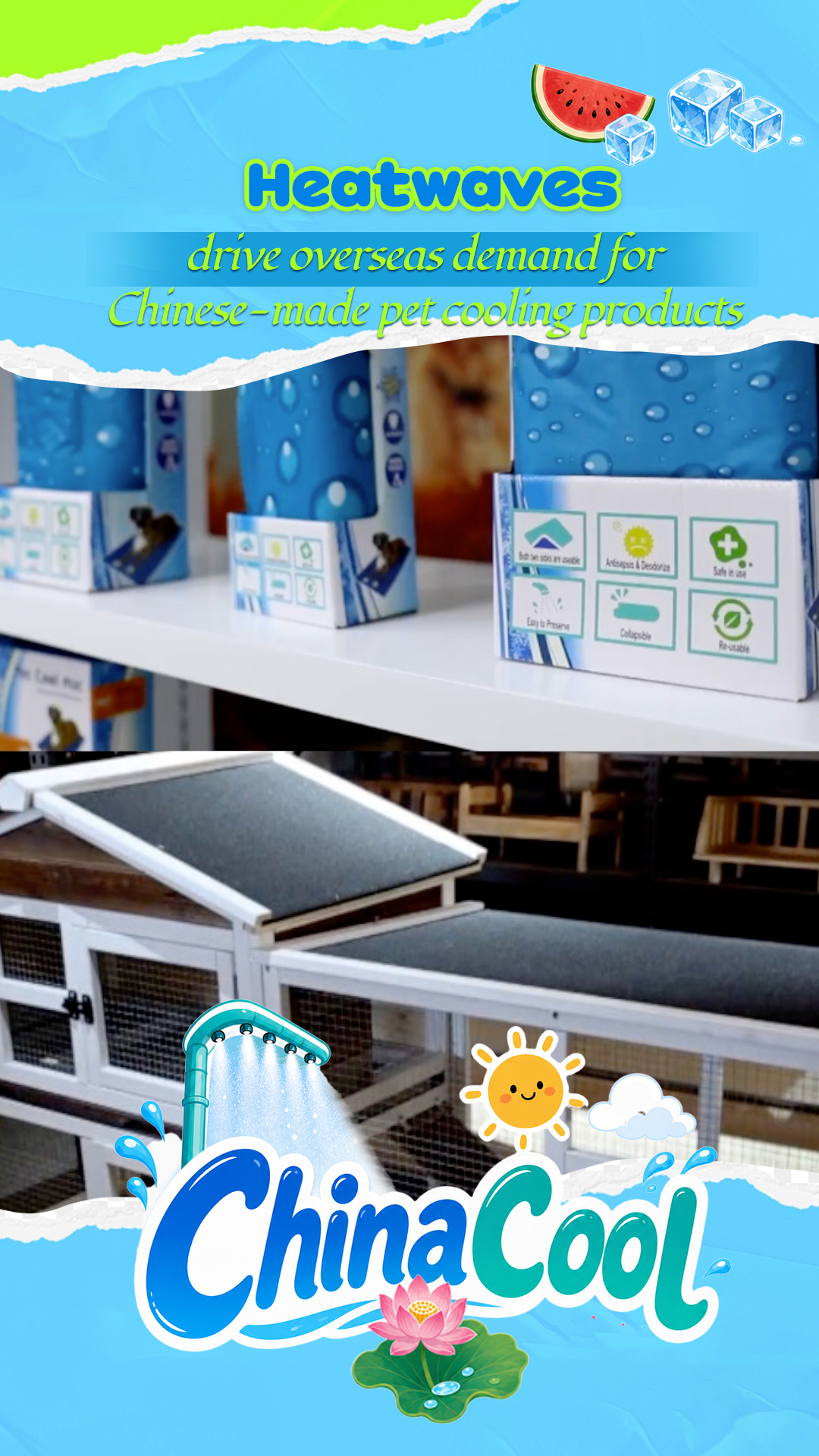 Heatwaves drive overseas demand for Chinese-made pet cooling products
