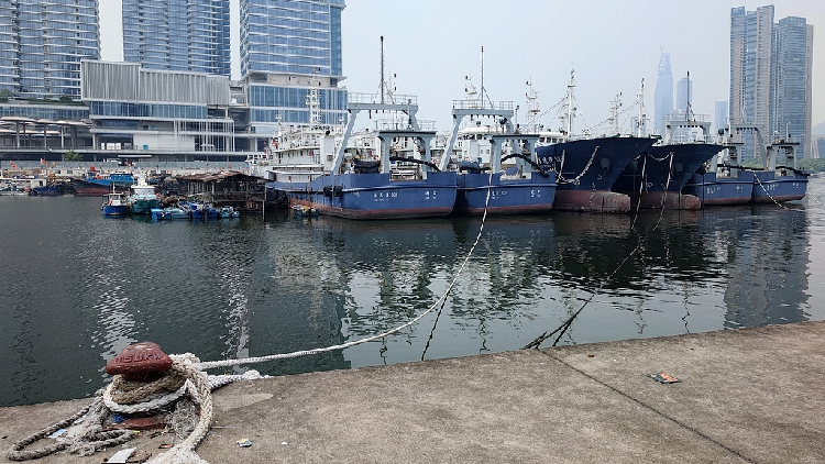 Live: Typhoon Noul makes landfall in China