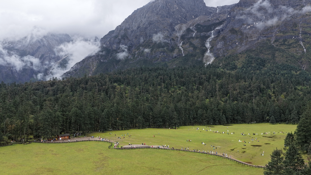 Live: Exploring Spruce Meadow at Yulong Snow Mountain in SE China