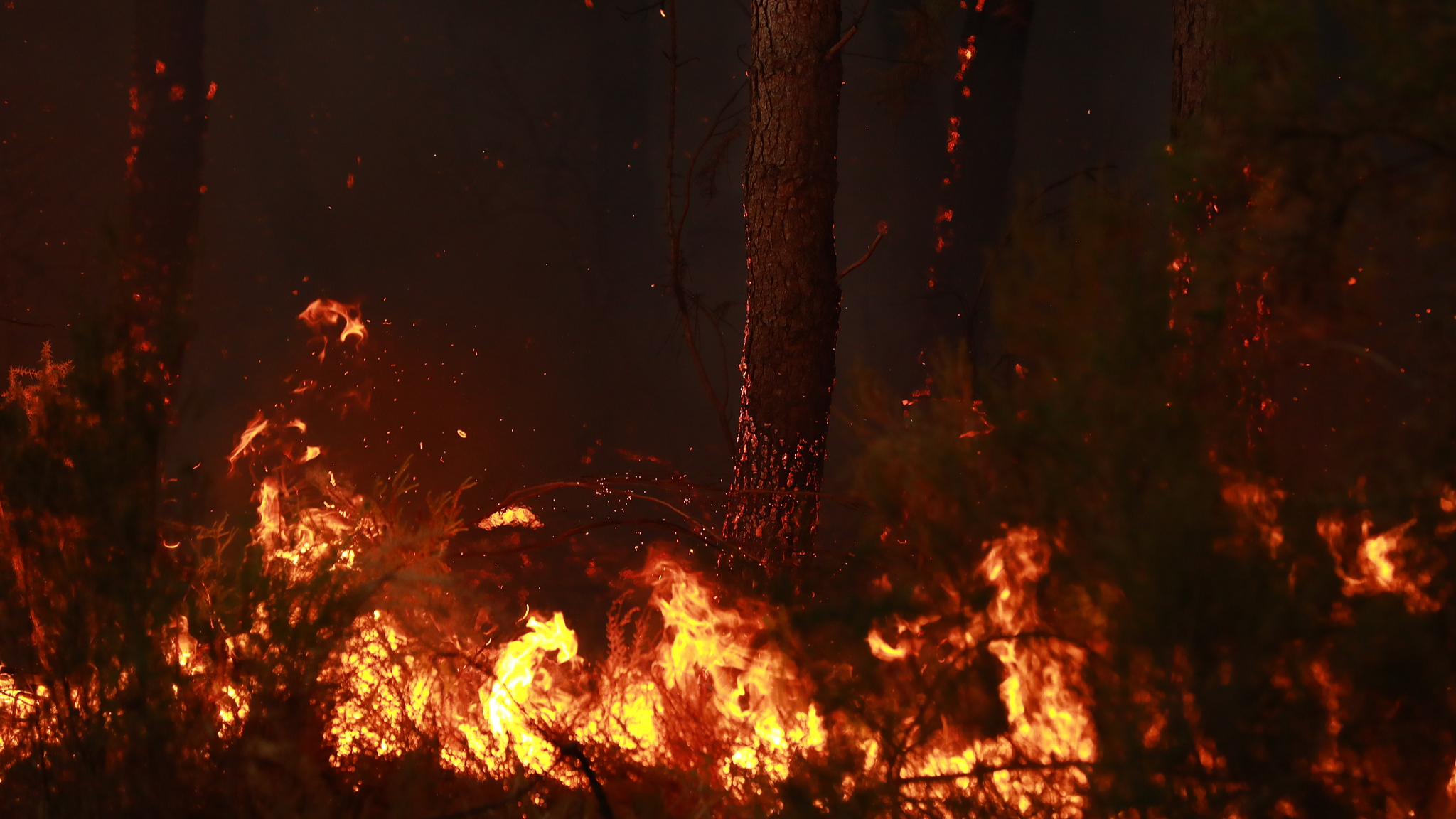 Live: The latest updates on wildfires in Europe
