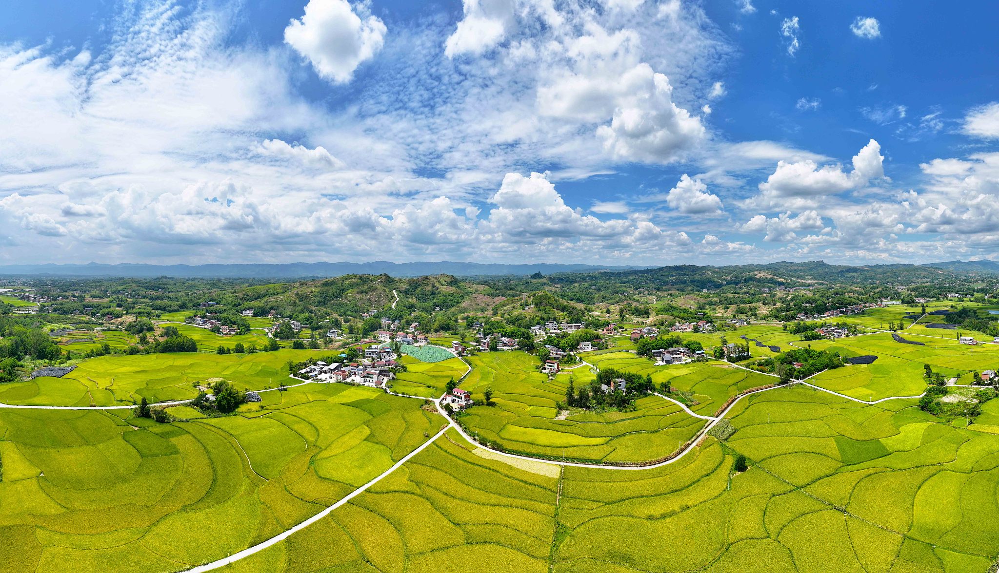 Golden rice paddies, villages and roads under a blue sky, southwest China's Chongqing Municipality, July 28, 2026. /VCG
