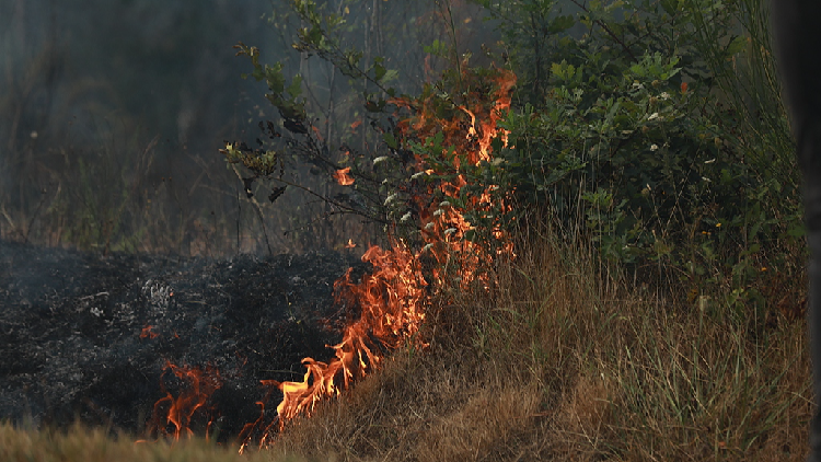 Live: Wildfires tear through southern Europe