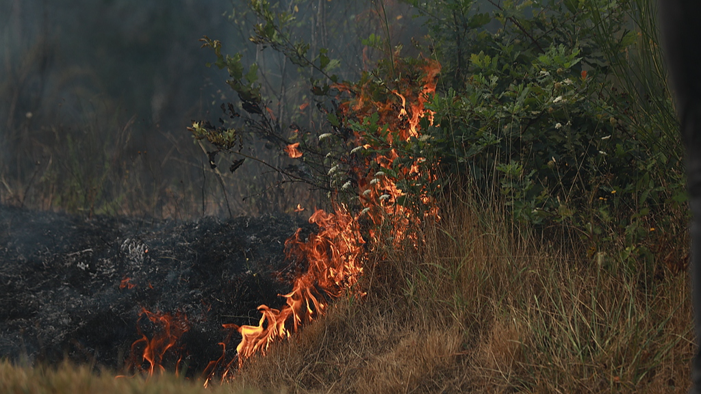 Live: Wildfires tear through southern Europe