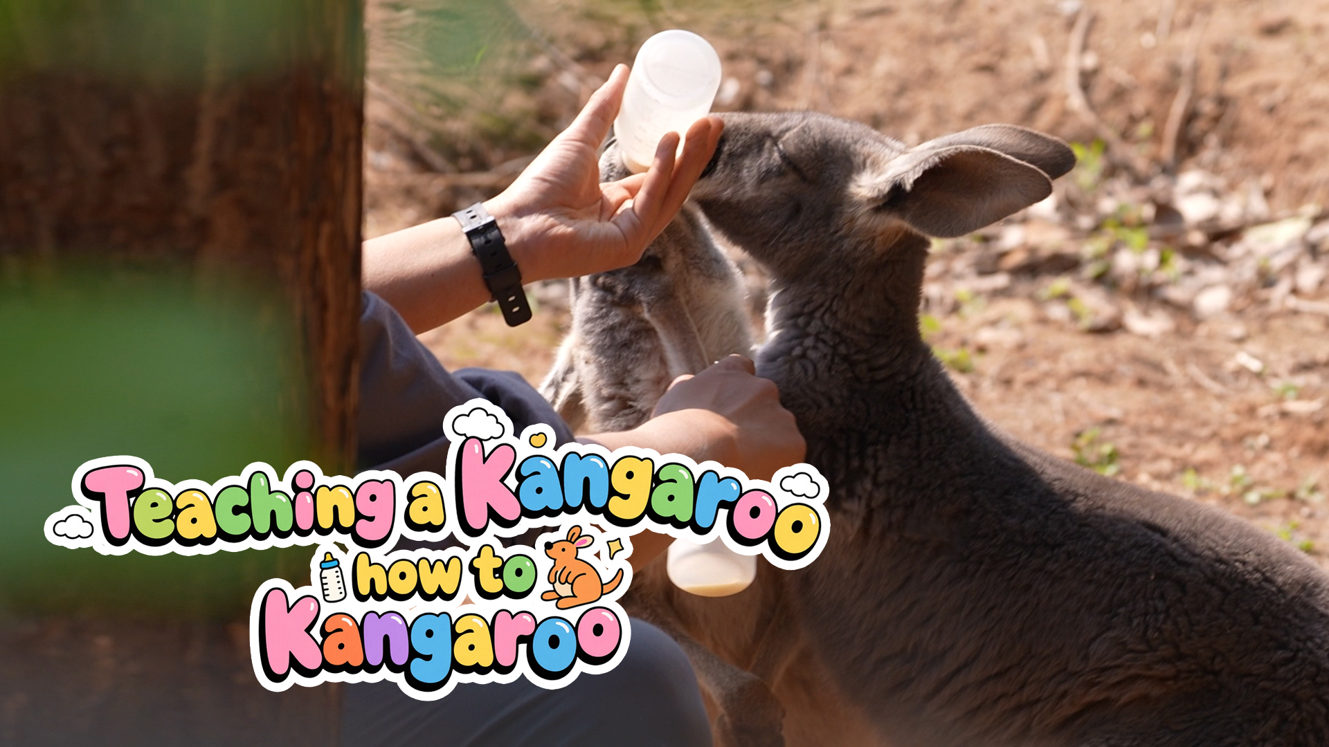Teaching a kangaroo how to kangaroo