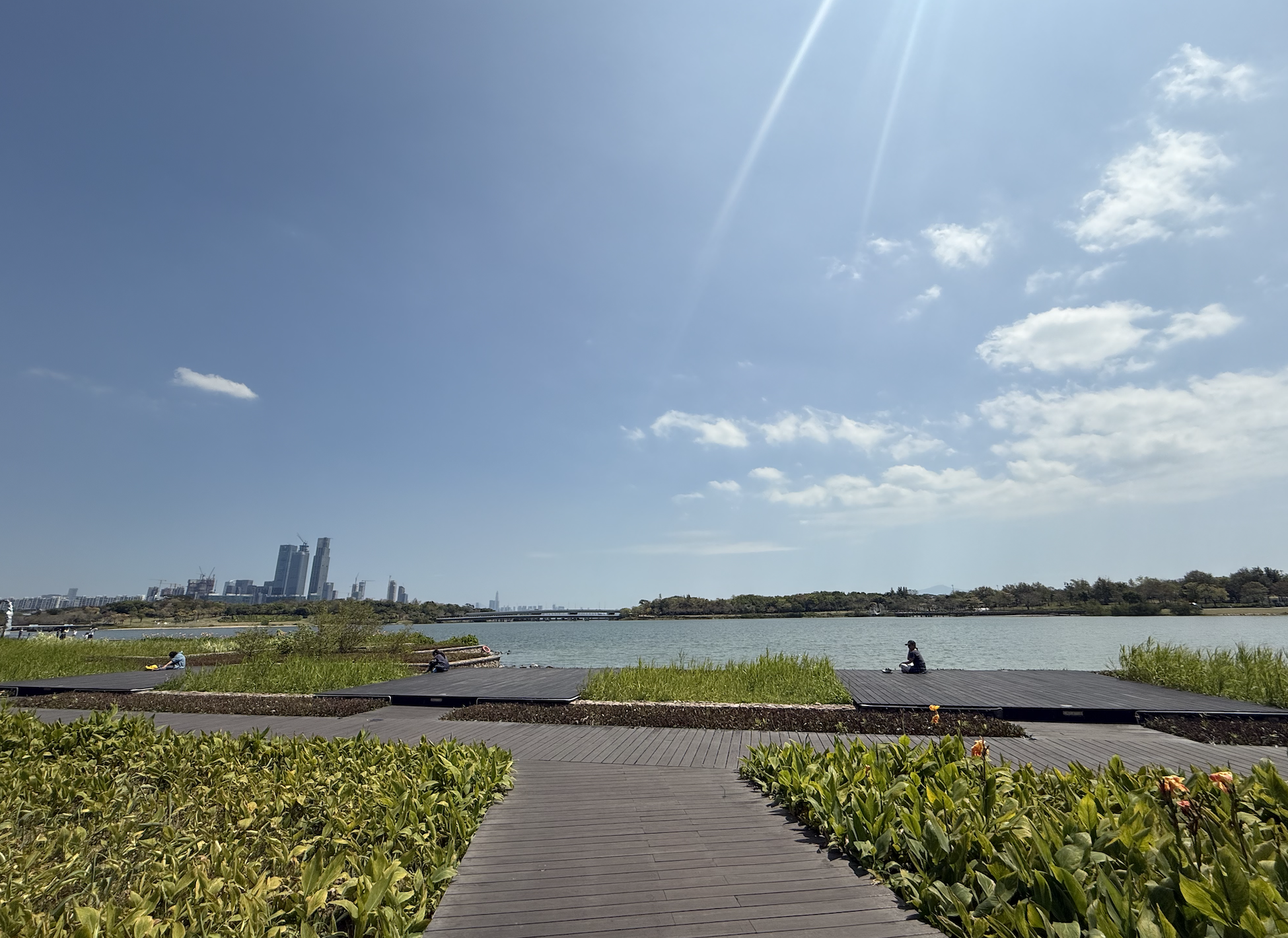Looking across the wetlands toward Shenzhen Bay's still-rising skyline, cranes and half-finished towers marking the edge of the Shenzhen Bay Super Headquarters Base.
