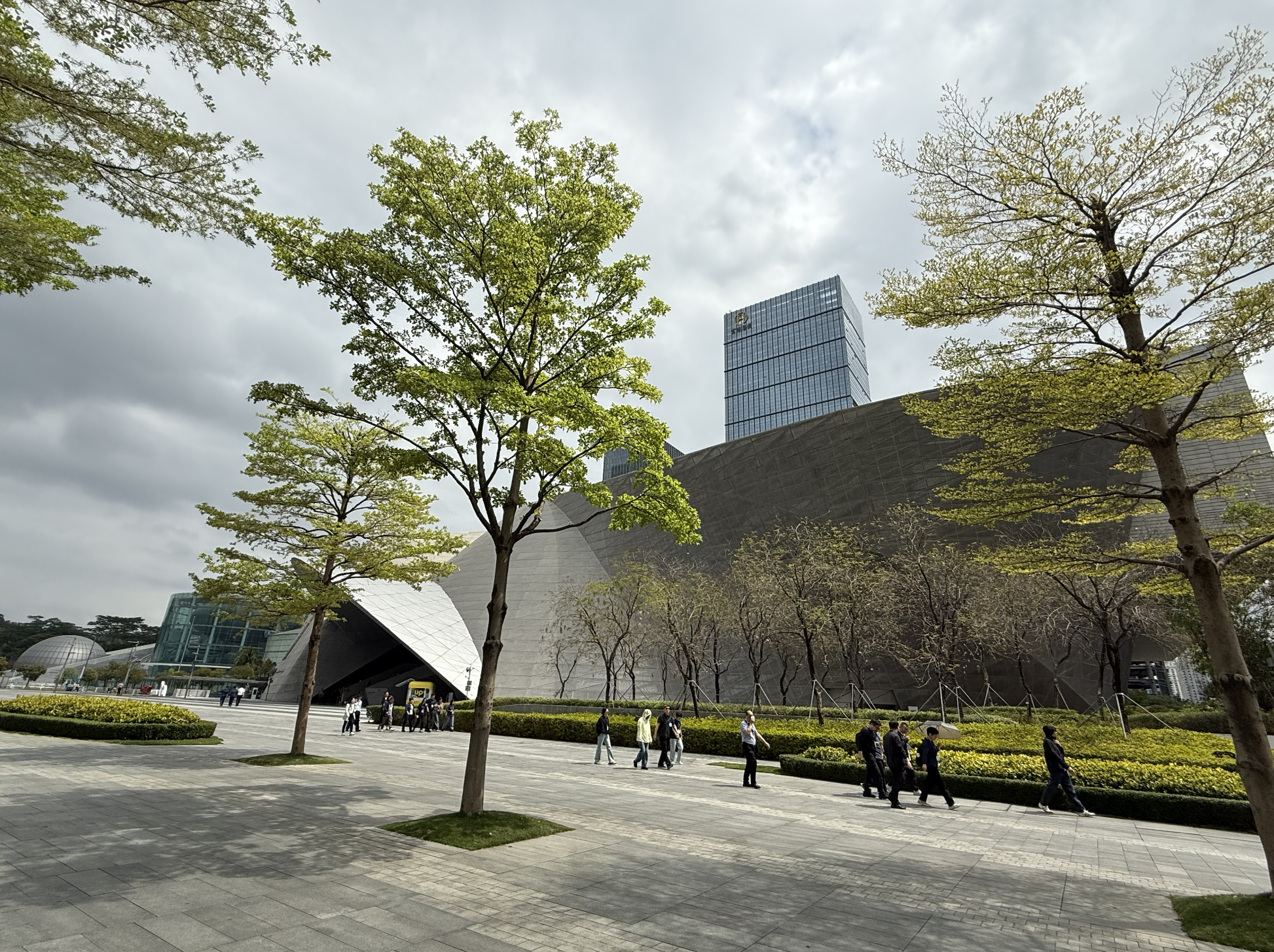 The Shenzhen Museum of Contemporary Art and Urban Planning (MOCAUP) in Futian – Coop Himmelb(l)au's angular, faceted concrete-and-glass form rising behind a walkway of fresh spring leaves.