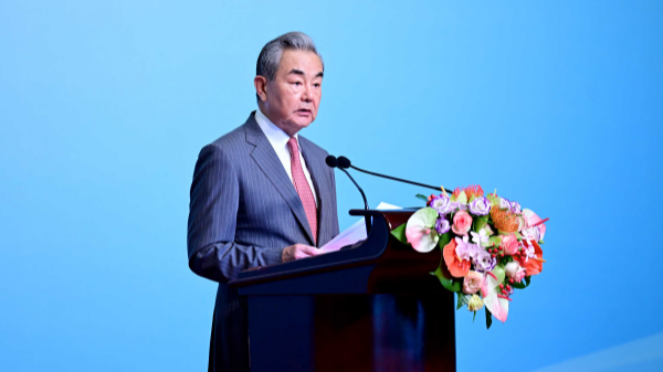 Wang Yi calls for global cooperation to advance global development