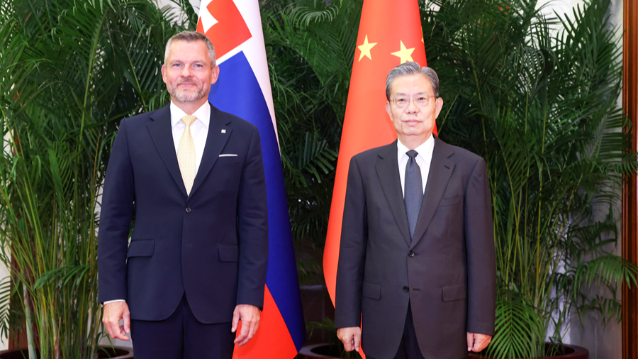 China's top legislator meets Slovak president