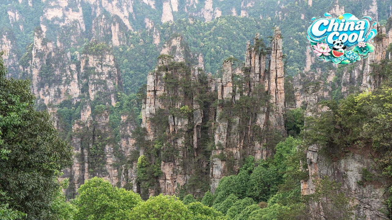Live: Discover the timeless beauty of Zhangjiajie National Forest Park
