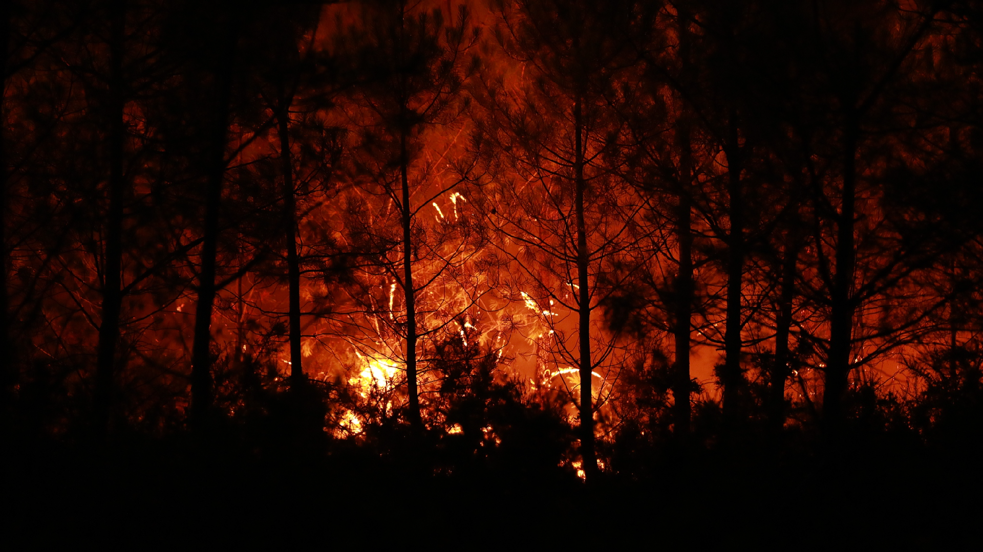 Live: Historic wildfires tear across southwestern Europe