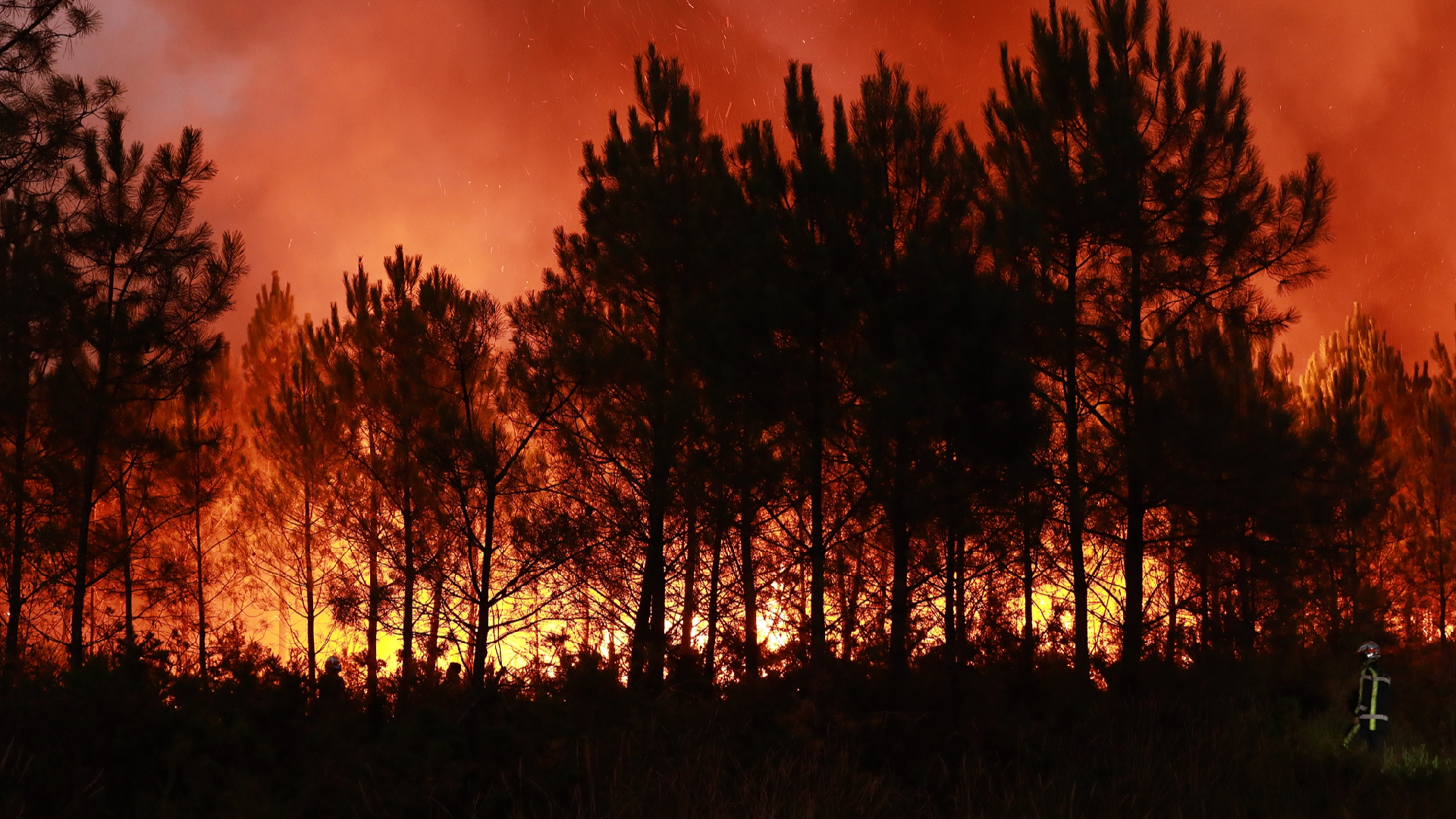 Live: Wildfires rage across southwestern Europe as heatwave returns
