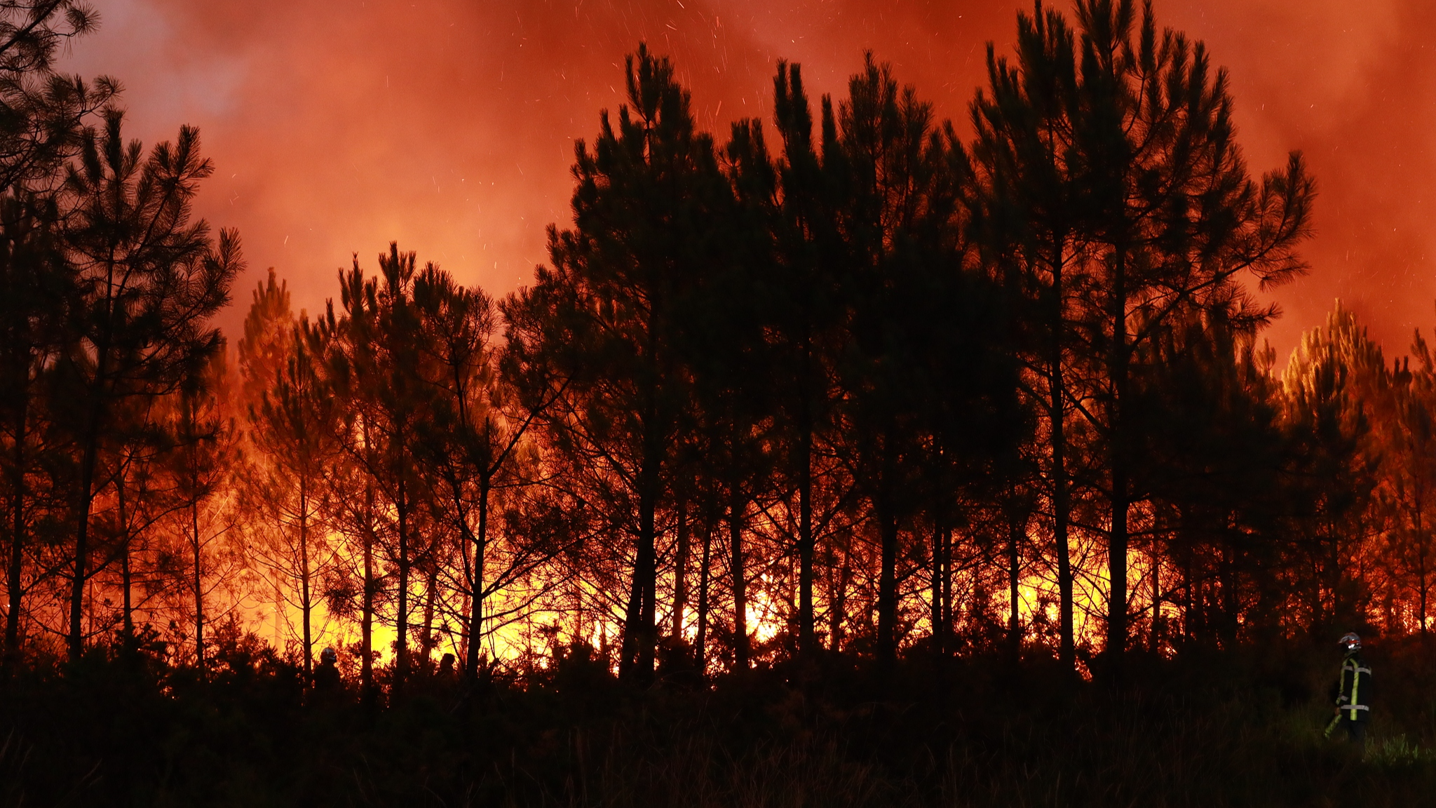 Live: Wildfires rage across southwestern Europe as heatwave returns