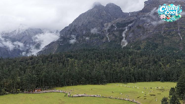 Live: Exploring Spruce Meadow at Yulong Snow Mountain – Ep. 2