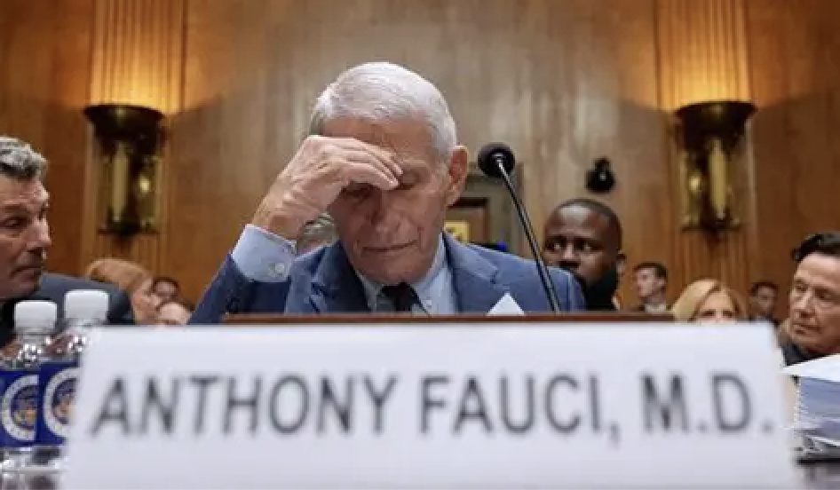 Dr. Anthony Fauci appears before the Senate Homeland Security and Governmental Affairs Committee at the Capitol, Wednesday in Washington DC. (Allison Robbert/AP)