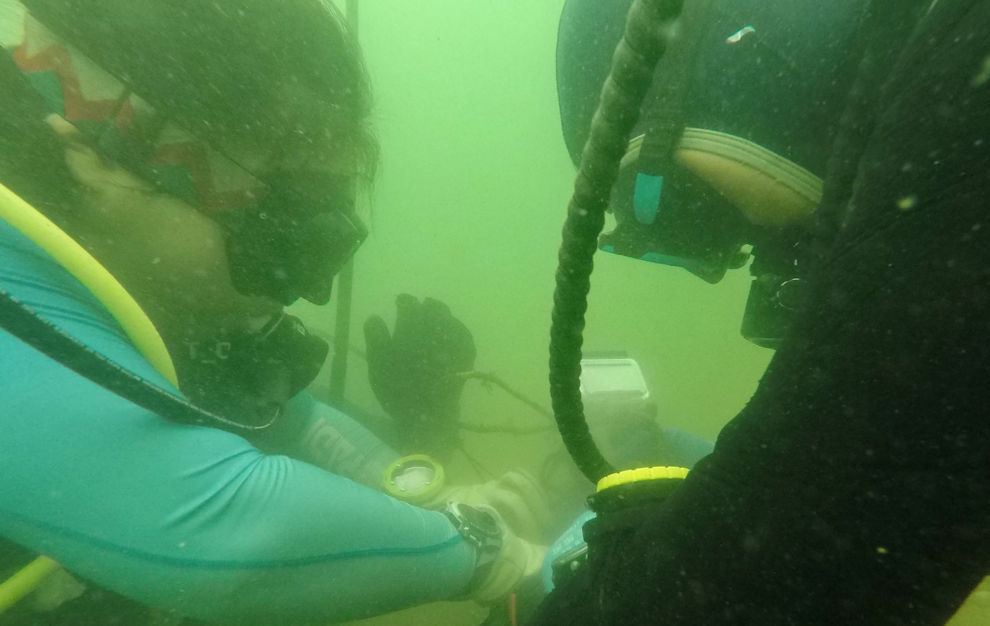 Volunteer divers retrieve marine debris during the 