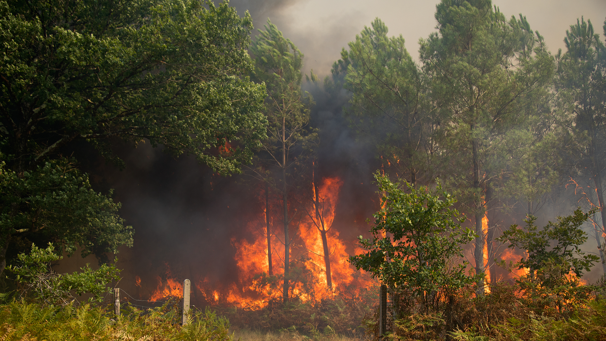 Wildfires kill firefighters as blazes spread across Europe