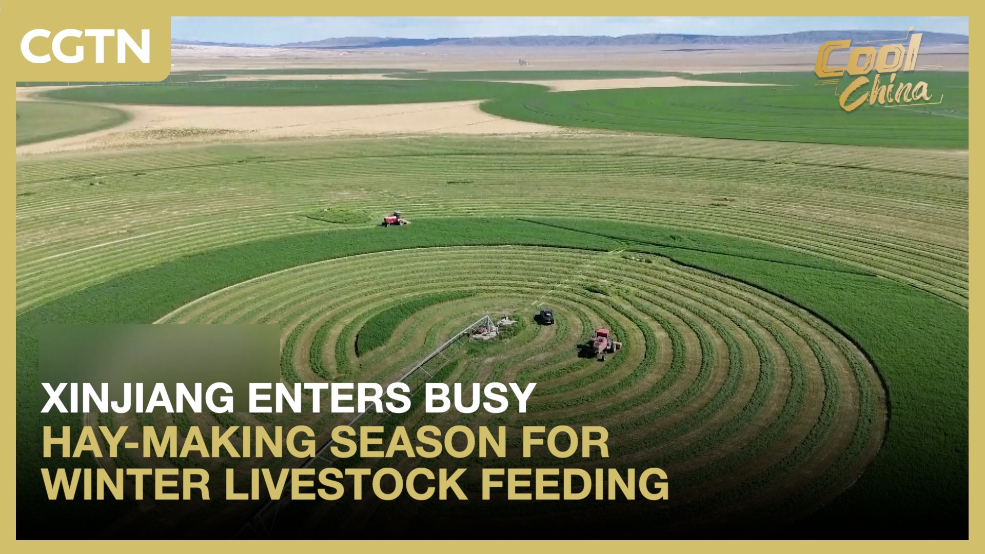 Xinjiang enters busy hay-making season for winter livestock feeding