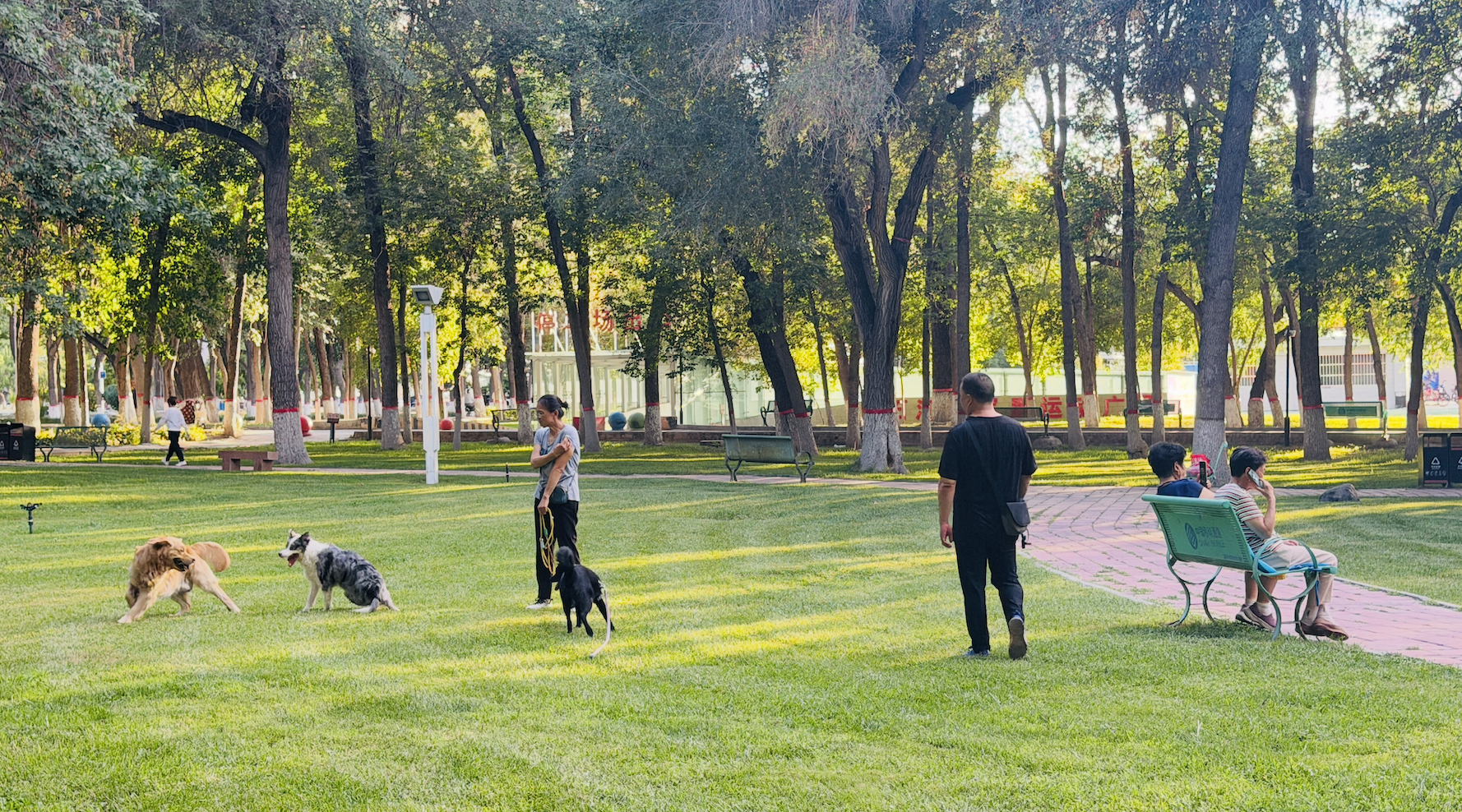 Residents relax and enjoy the cool shade at a local park in Shihezi, Xinjiang Uygur Autonomous Region, escaping the summer heat amid lush greenery. /CGTN