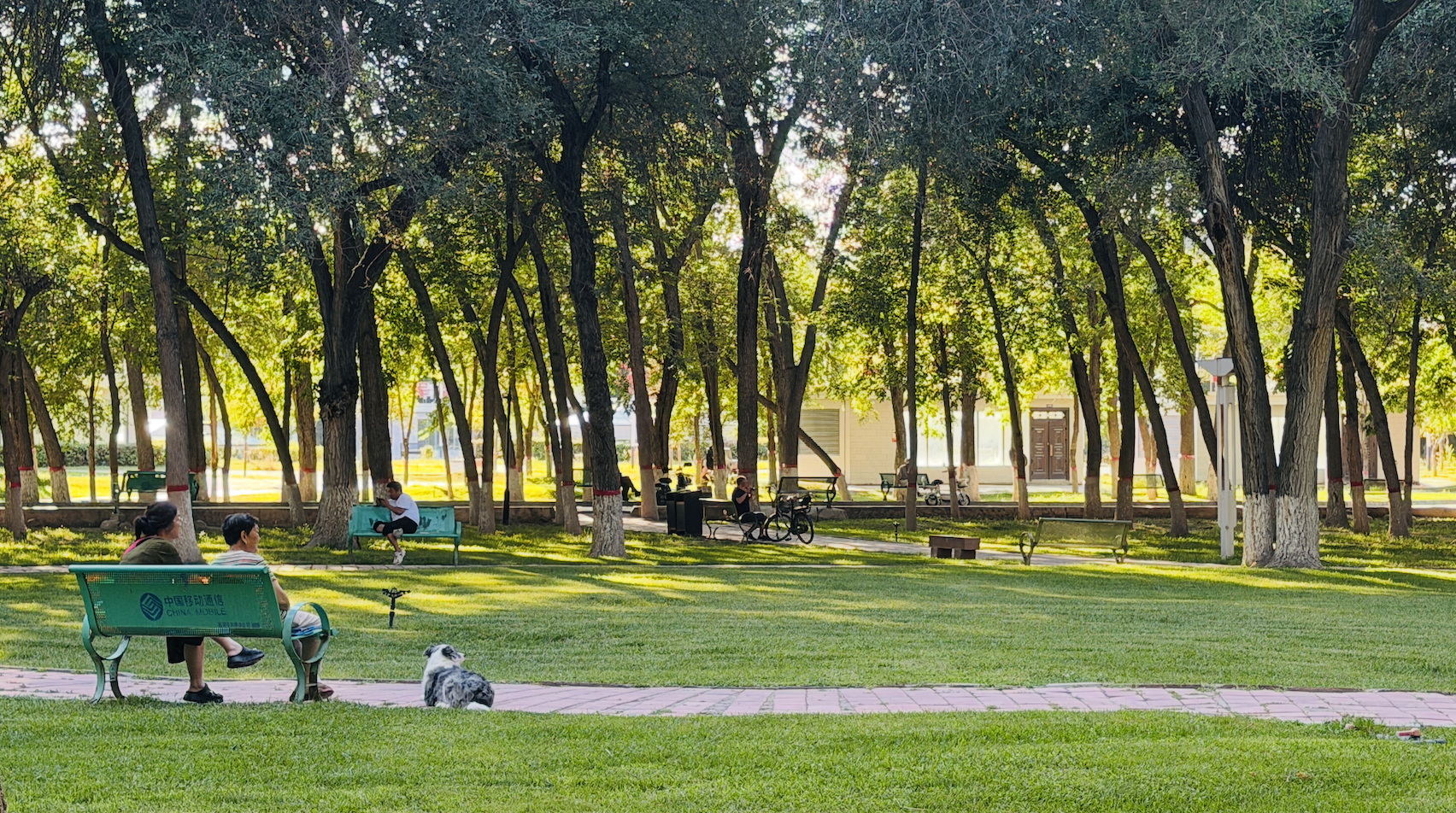 Residents relax and enjoy the cool shade at a local park in Shihezi, Xinjiang Uygur Autonomous Region, escaping the summer heat amid lush greenery. /CGTN
