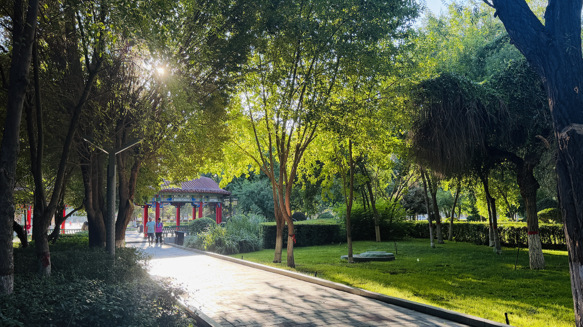 Residents take leisurely walks at a local park in Shihezi, Xinjiang Uygur Autonomous Region, enjoying the cool green summer scenery. /CGTN
