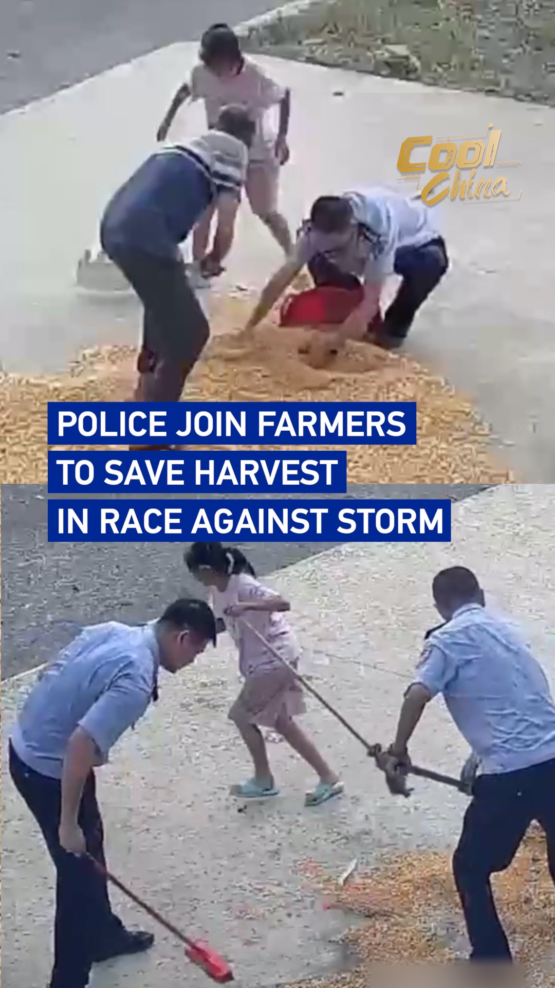 Police join farmers to save harvest in race against storm