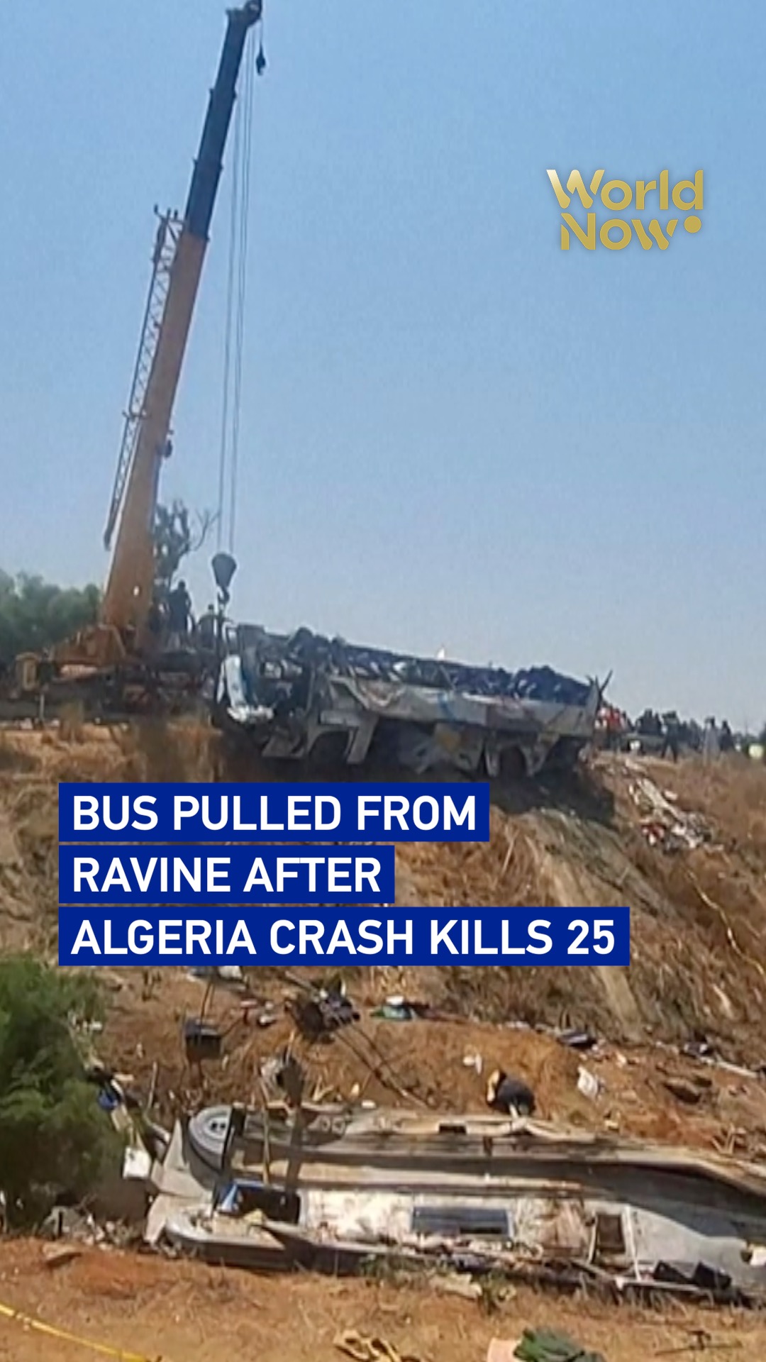 Bus pulled from ravine after Algeria crash kills 25