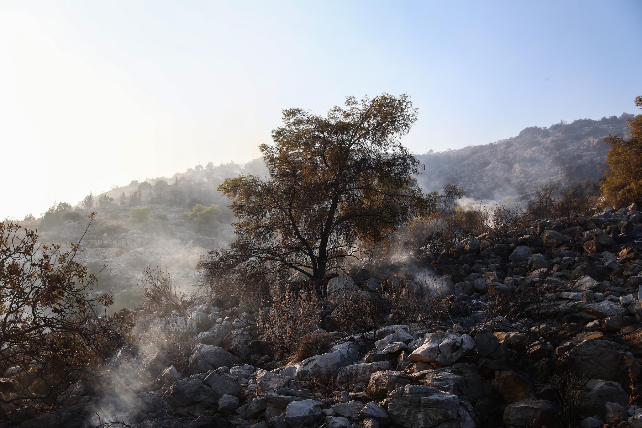 Firefighters and volunteer groups work to extinguish a wildfire burning on a hill in Haidari, western Athens, Greece, on July 31, 2026. /VCG