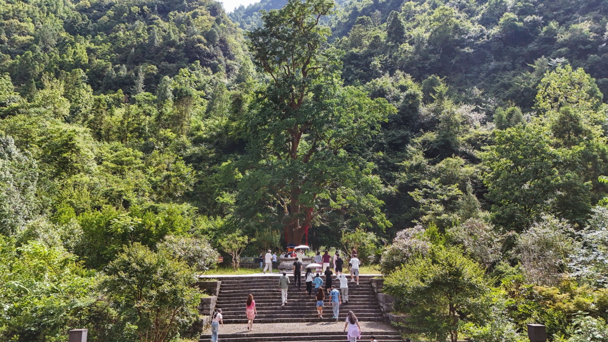 The 1,300-year-old 