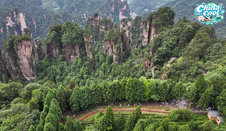 Live: Exploring Zhangjiajie National Forest Park