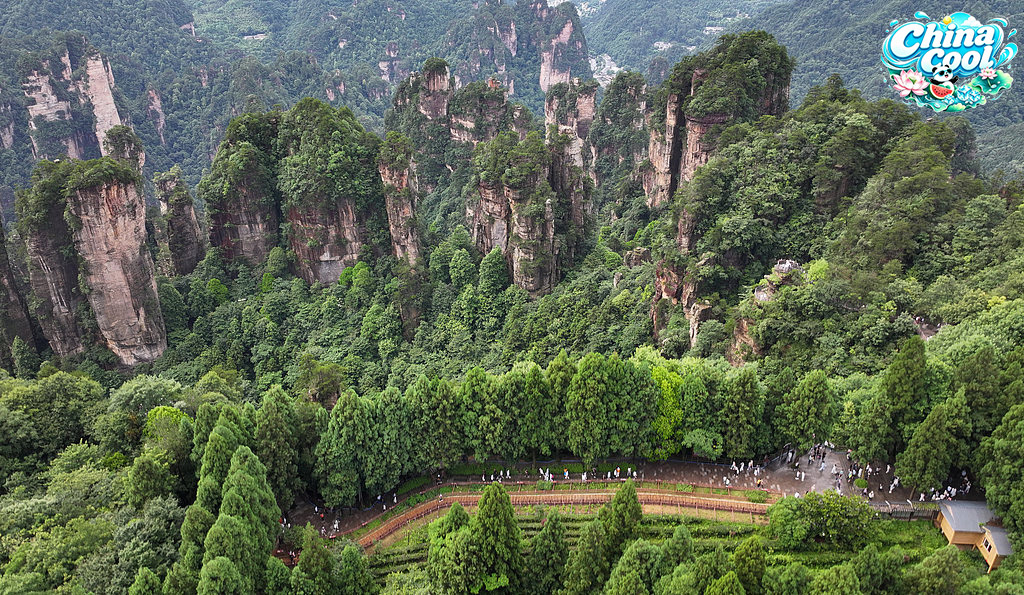 Live: Exploring Zhangjiajie National Forest Park, a cool escape amid towering peaks