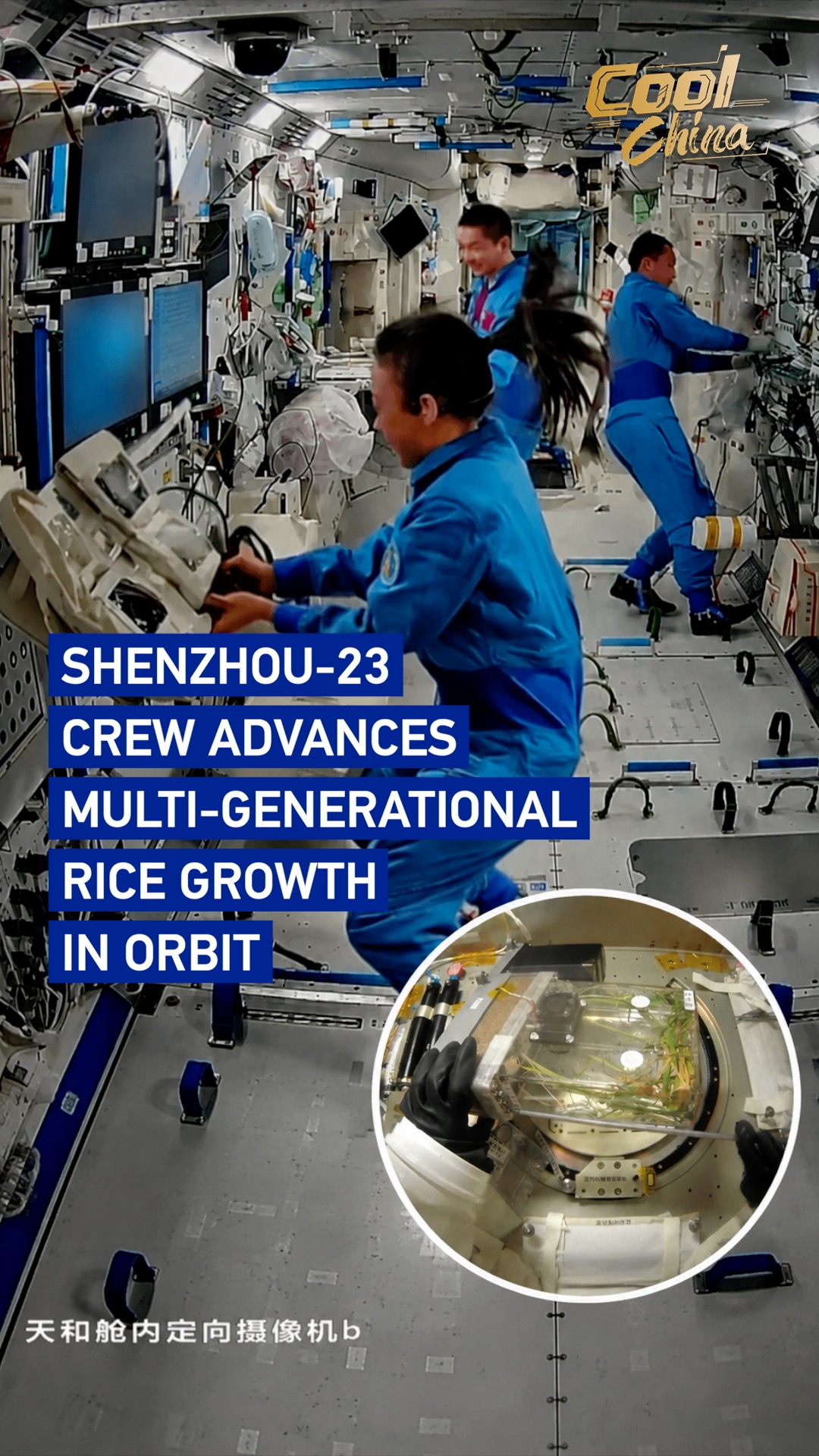  Shenzhou-23 crew advances multi-generational rice growth in orbit