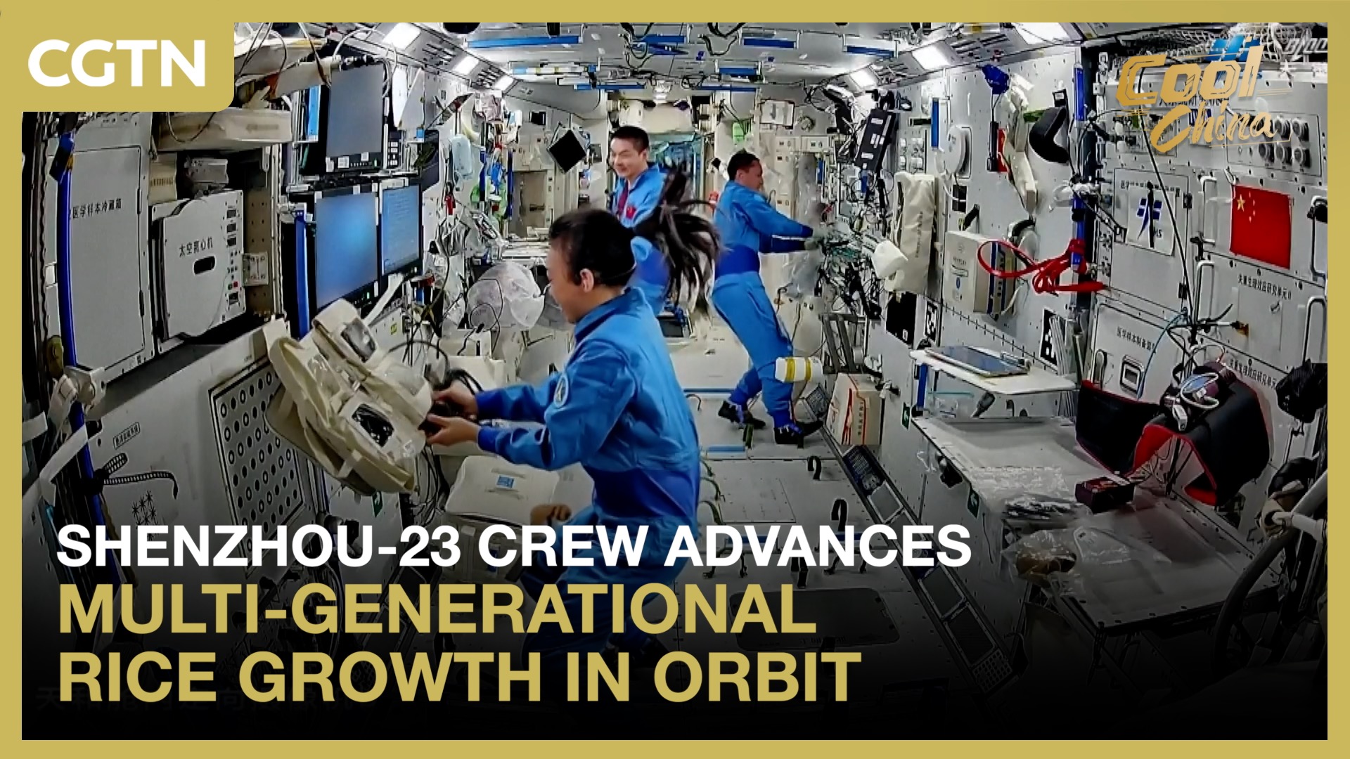  Shenzhou-23 crew advances multi-generational rice growth in orbit
