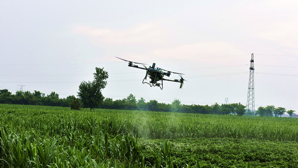 China unveils five-year plan to strengthen rural cooperatives